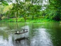 Empty old lonely wood swing hanging on the big tree over the large stream on the green forest background, relaxing place. Royalty Free Stock Photo