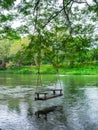 Empty old lonely wood swing hanging on the big tree over the large stream on the green forest background, relaxing place. Royalty Free Stock Photo