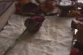 Empty old paper with rose and a candle and Bible on wooden table Royalty Free Stock Photo