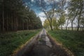 Empty old road in Slovakian forest Royalty Free Stock Photo