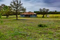 Empty Old Texas Farm House with Bluebonnet Wildflowers. Royalty Free Stock Photo