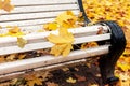 Empty old white bench in autumn park with yellow fallen leaves after rain. Royalty Free Stock Photo