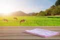 Empty old wooden table and pink checked tablecloth over blurred background of the rural meadows and cows, mountain, blue sky among Royalty Free Stock Photo