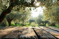 Empty old wooden table for product display with natural green olive field and green olives