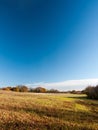 Empty open grass land farm land scene plain agriculture blue sky