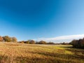 Empty open grass land farm land scene plain agriculture blue sky