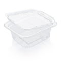 Empty open transparent plastic food container Royalty Free Stock Photo