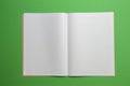 Empty opened striped notebook on green background. Top view