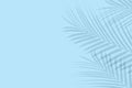 Empty palm shadow texture pattern cement on blue wall background Summer tropical minimal concept Royalty Free Stock Photo