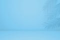 Empty palm shadow texture pattern cement on blue wall background Summer tropical minimal concept Royalty Free Stock Photo