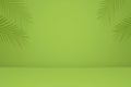 Empty palm shadow texture pattern cement on green wall background Summer tropical minimal concept Royalty Free Stock Photo