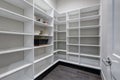 Empty pantry interior with white shelves and dark floor Royalty Free Stock Photo