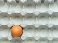 Empty paper egg container, Texture top view Royalty Free Stock Photo
