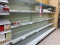 Empty paper plates and napkin display shelves at a Publix grocery store due to the people panicing and hoarding paper and food Royalty Free Stock Photo