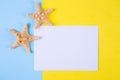 Empty paper sheet with two starfishes on colored backgrounds wit Royalty Free Stock Photo