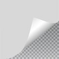 Empty paper sheet. Vector EPS10 Royalty Free Stock Photo