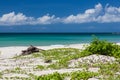 Empty paradise beach at Borneo Malaysia Royalty Free Stock Photo