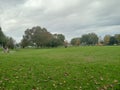 Empty park on autumn in a rainy day with overcast sky Royalty Free Stock Photo