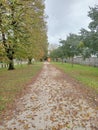 Empty park on autumn in a rainy day with overcast sky Royalty Free Stock Photo