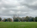 Empty park on autumn in a rainy day with overcast sky Royalty Free Stock Photo