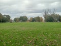 Empty park on autumn in a rainy day with overcast sky Royalty Free Stock Photo