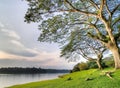 Empty Park Bench on lake shore at sunset Royalty Free Stock Photo