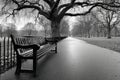 Empty park bench on a misty winter morning Royalty Free Stock Photo