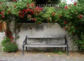 Weathered park bench stands in front of a stone wall with climbing red roses Royalty Free Stock Photo