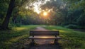 Empty park bench at sunset, wooded path Royalty Free Stock Photo