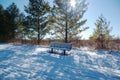 Empty park bench in winter on a snow covered trail with green trees blue sky and sun Royalty Free Stock Photo