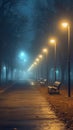 Empty Park Benches at Night With Classic Street Lamps in Foggy Sky Royalty Free Stock Photo