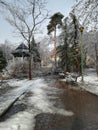 Empty park and frozen trees