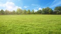 Empty park with green grass field and tree in sunshine morning Royalty Free Stock Photo