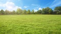 Empty park with green grass field and tree in sunshine morning