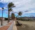 Empty park with palm tree leaves tilted