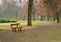 Empty park in a raining day Royalty Free Stock Photo