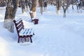 empty park in winter. empty benches covered with white snow among trees without leaves Royalty Free Stock Photo