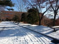 Empty path or alleyway or walkway in wooden avenue with two rows of trees sides with snow on both sides in cold and sunny winter d