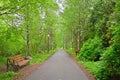 Empty path in Dendrology garden in Pereslavl-Zalessky city Royalty Free Stock Photo