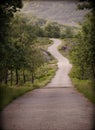 Empty path by the fields