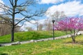 Empty Path on a Hill with Colorful Plants and Flowers during Spring on Randalls and Wards Islands of New York City Royalty Free Stock Photo