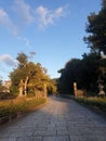 an empty path leading to an asian garden area in japan