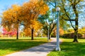 Walkway lined with Colorful Autumn Trees in Lincoln Park Chicago Royalty Free Stock Photo