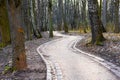 empty paved path in a park in early spring Royalty Free Stock Photo