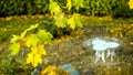 Empty Peaceful Park, classical white table