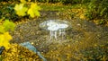 Empty Peaceful Park, classical white table