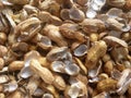Empty peanut shells