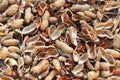 Empty peanuts shells pile