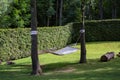 Empty pendant hammock in trees on green lawn in backyard.