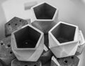 Empty pentagon geometric planters for small plant